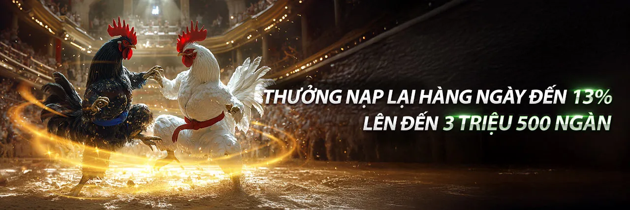 Hình ảnh chính các ưu đãi bet8s chính thức 2026